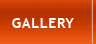 Visit our gallery